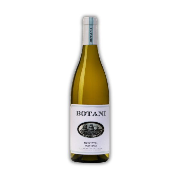 Botani Moscatel